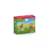 schleich Poni agilitytreening, Agility, Taluloomad / talumänguasjad, 3 a, Mitmevärviline, Plast