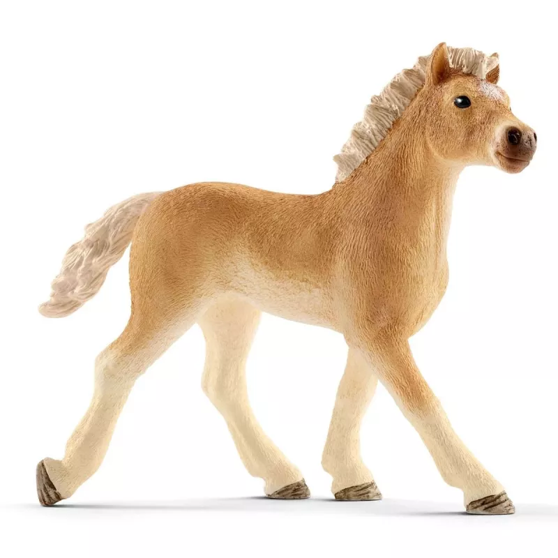 schleich Veterinaarpraksis koos lemmikloomadega, Talu, Taluloomad / talumänguasjad, 3 a, Mitmevärviline