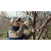 Bosch Pro Pruner Professional juhtmeta murukäärid 2,5 cm 12 V liitiumioon (Li-Ion) must, sinine