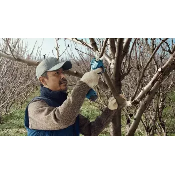 Bosch Pro Pruner Professional juhtmeta murukäärid 2,5 cm 12 V liitiumioon (Li-Ion) must, sinine