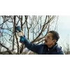 Bosch Pro Pruner Professional juhtmeta murukäärid 2,5 cm 12 V liitiumioon (Li-Ion) must, sinine