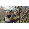Bosch Pro Pruner Professional juhtmeta murukäärid 2,5 cm 12 V liitiumioon (Li-Ion) must, sinine
