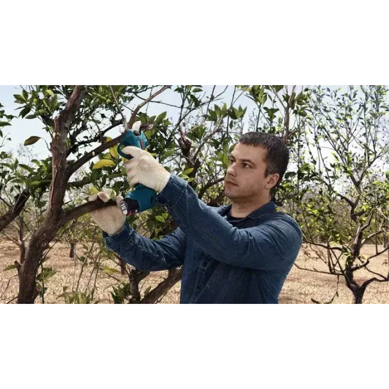 Bosch Pro Pruner Professional juhtmeta murukäärid 2,5 cm 12 V liitiumioon (Li-Ion) must, sinine