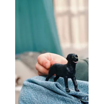schleich 14922 laste mängukuju