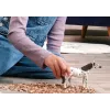 schleich BAYALA 14916 laste mängukuju