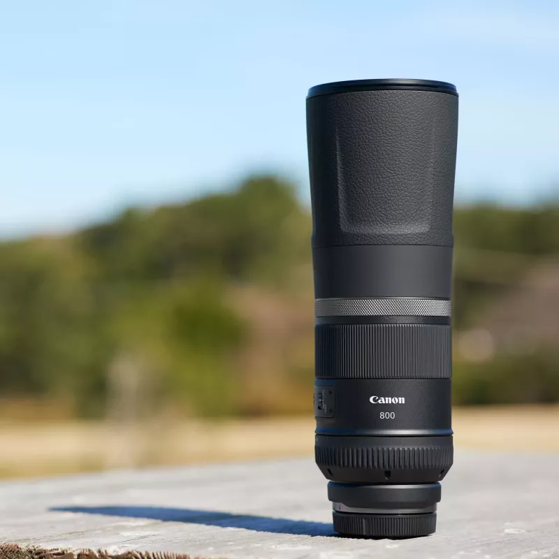Canon RF 800mm F11 IS STM objektiiv, Teleobjektiiv, 11/8, Canon RF