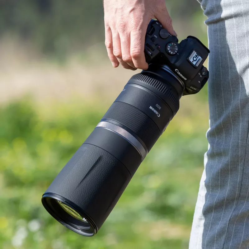 Canon RF 800mm F11 IS STM objektiiv, Teleobjektiiv, 11/8, Canon RF