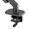 ASUS AAS01R 124,5 cm (49-tolline) laud Must
