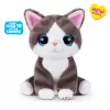 Mängukass Zuru Pets Alive Smitten Kittens Series 2 — interaktiivne helimänguasi, vanusele 3+, AAA patareid