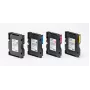 Ricoh 257061 tindikassett 1 tk Originaal Kõrge (XL) jõudlusega magenta