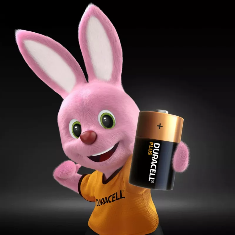 Duracell Plus ühekordne patarei D Aluseline