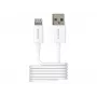 2-Power 2PUC1M02W mobiilseadme laadija Valge