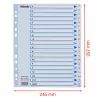 Esselte 100149 registriindeks Polüpropüleen (PP) Valge