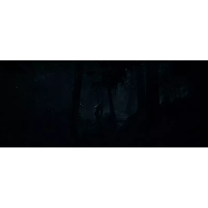 Sony Until Dawn Standard Mitmekeelne PlayStation 5
