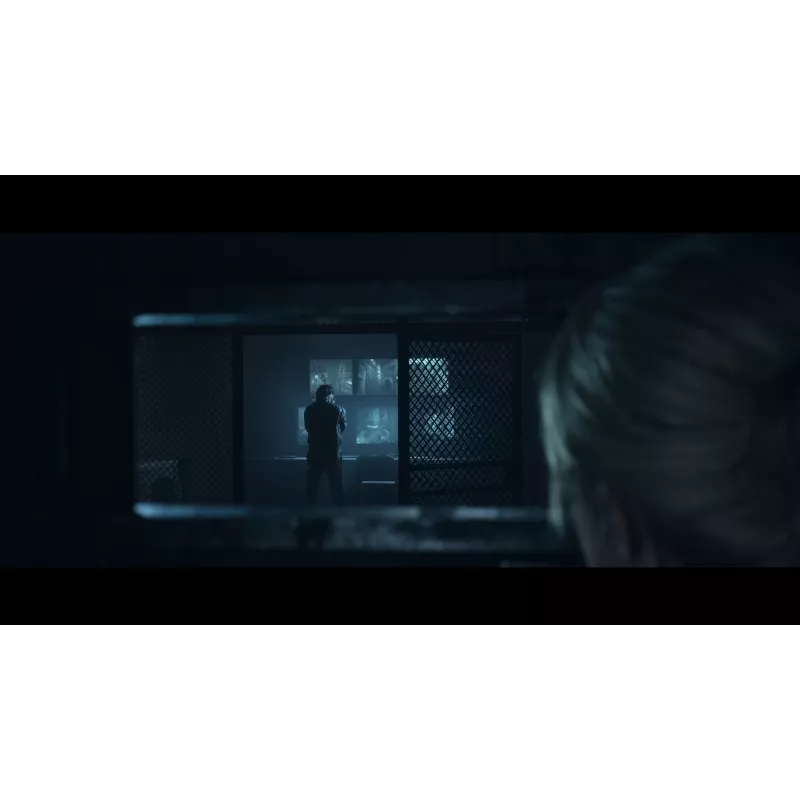 Sony Until Dawn Standard Mitmekeelne PlayStation 5