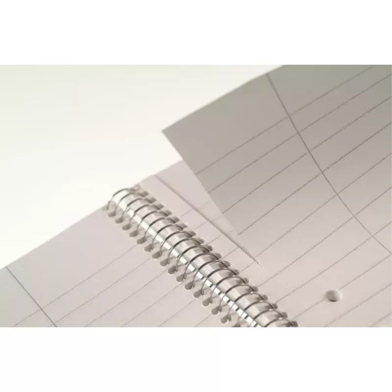 Märkmepaber Esselte College Pad A4 70 lehte Sinine Roheline Valge