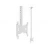 Laealus Multibrackets M Public Small Single Valge 1500 14 kg 10-32 tolli