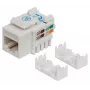 Intellinet Keystone Jack, Cat6, UTP, Punch-down, valge, lame, valge, RJ-45, emane, 22/26, Cat6
