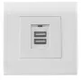 Intellinetti 2-pordiline USB-A seinapistikupesa esipaneeliga, kaks laadimisporti turvakattega, 5 V / 2,1 A väljund, 80 x 80 Euroopa esipaneel