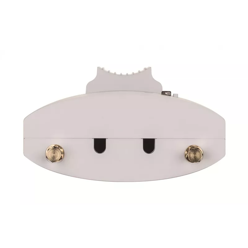 D-Link Wireless AC1300 Wave 2 välistingimustes kasutatav pilvhaldusega pääsupunkt