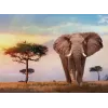 Clementoni African Sunset pusle 500 tk Loomad