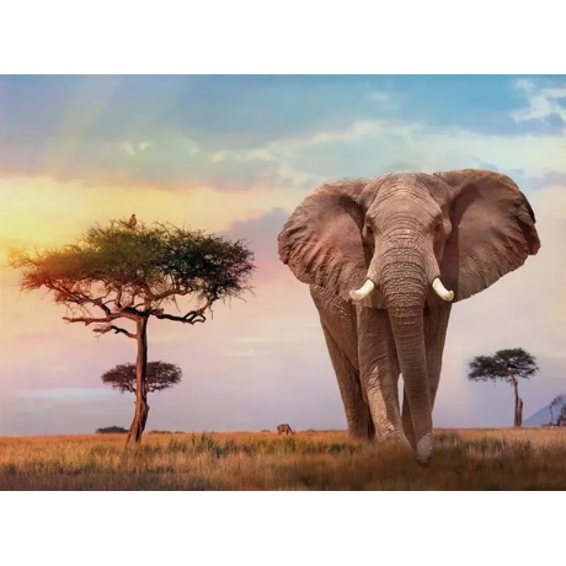 Clementoni African Sunset pusle 500 tk Loomad