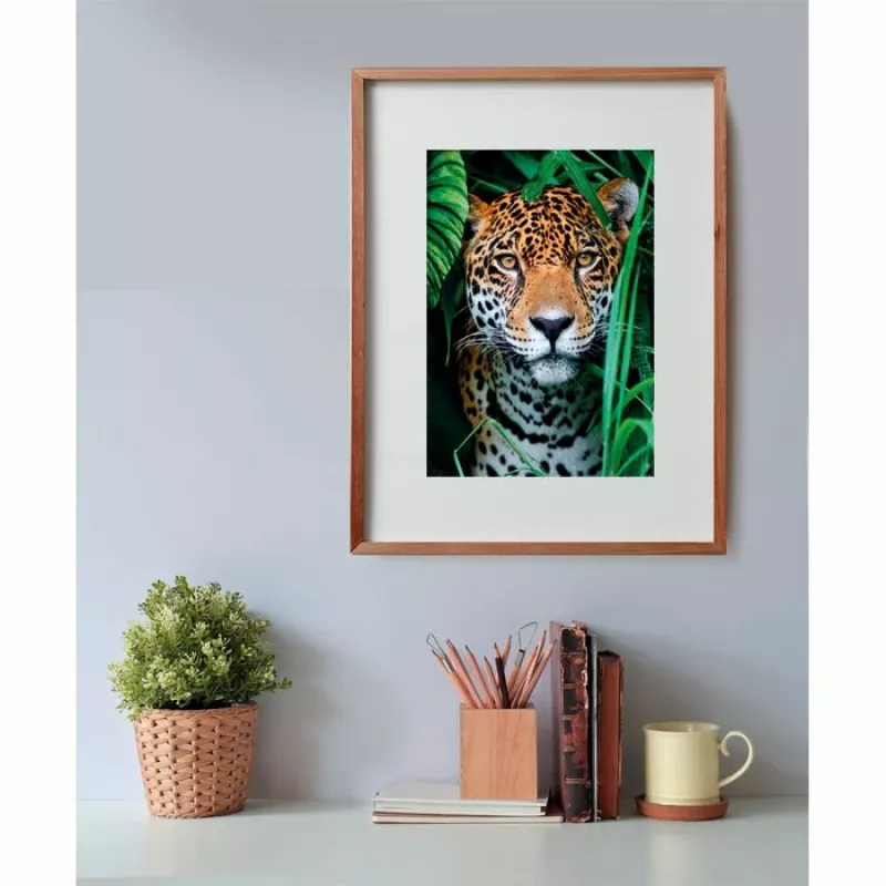 Clementoni High Quality Collection Jaguar in the Jungle Pusle 500 tk Loomad