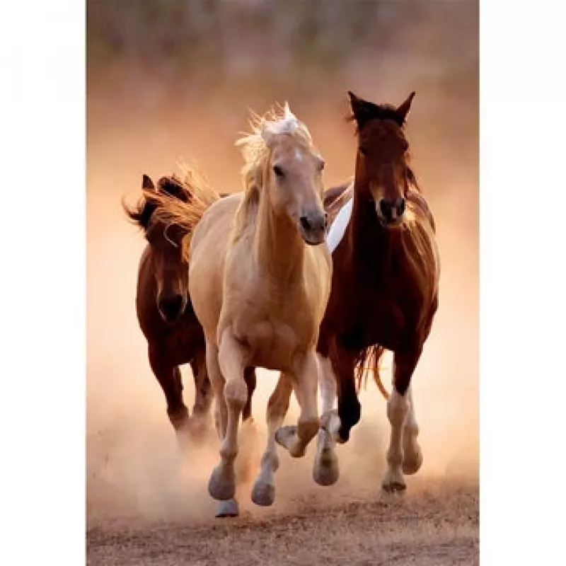 Clementoni Running Horses pusle 1000 tk Loomad