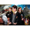 Clementoni Wizarding world Harry Potter pusle 1000 tk Televisioon/filmid