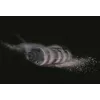 Hoover Ultra Vortex MBC500UV 011 käeshoitav tolmuimeja punane kotita