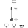 Techly ICOC DSP-C12-030P video kaabli adapter 3 m DisplayPort DVI-D Must