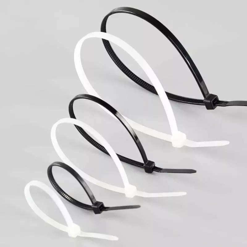 Techly kaabliside nailonist plaaster 100x2,5 mm 100 tk must ISWT-10025-BK