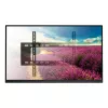 Techly ICA-PLB 262L TV-kinnitus/statiiv 177,8 cm (70 tolli) Must
