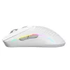Glorious Gaming Glorious Model O 2 Mini Wireless - Matt valge