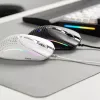 Glorious Gaming Glorious Model IV2 Wired - valge, paremakäeline, optiline, USB Type-A, 26000 DPI, valge