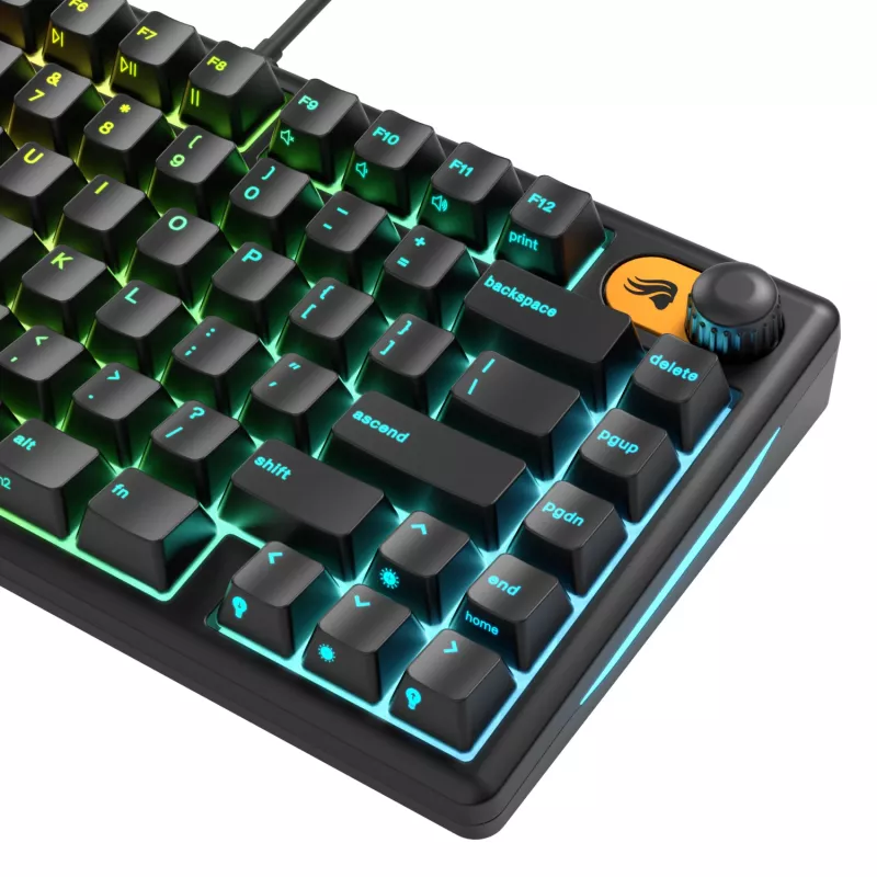 Glorious Gaming GMBK 75% klaviatuur USB QWERTY USA inglise Must