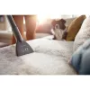 Philips 2000 seeria XB2140/09 tolmuimeja 1,3 L Silindertolmuimeja Kuiv 850 W Kotita