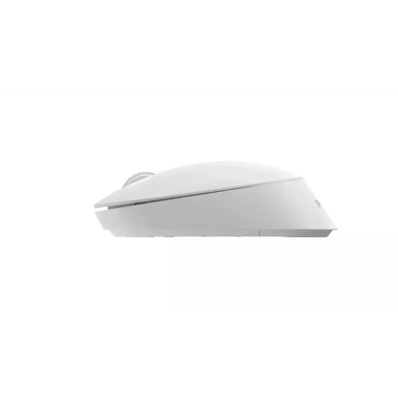 Hiir Philips SPK7307W/00 Office mõlemakäeline RF Wireless Optical 1600 DPI valge