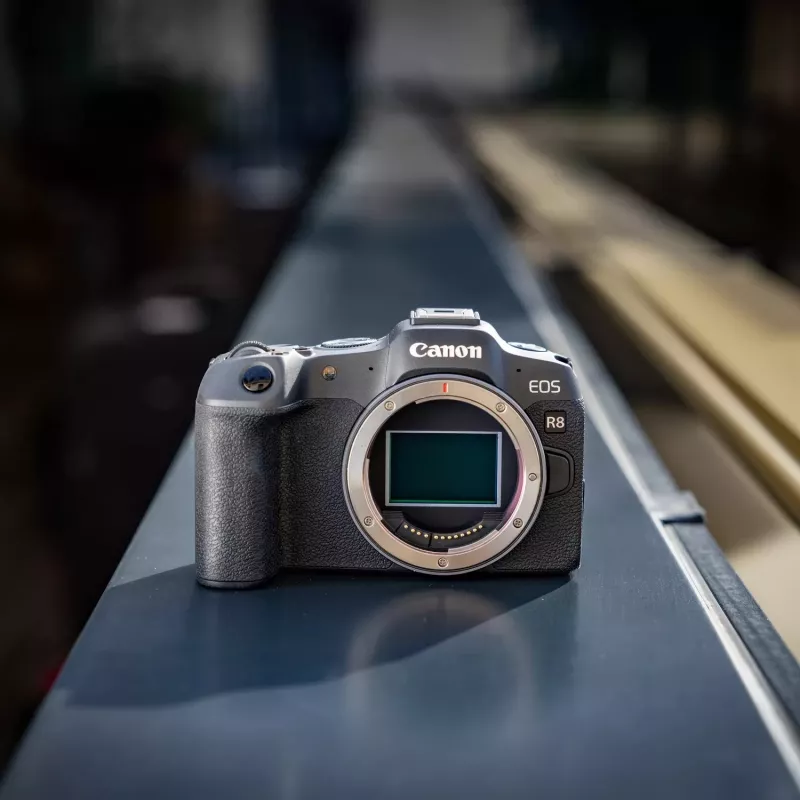 Canon EOS R8 + RF 24-105mm F4-7.1 IS STM MILC 24,2 MP CMOS 6000 x 4000 pikslit must