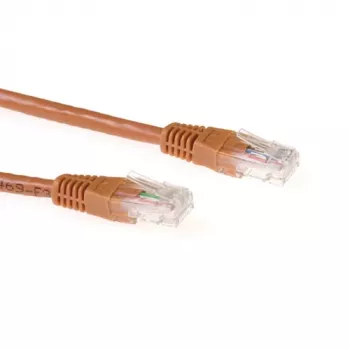 ACT pruun 1-meetrine U/UTP CAT6A patch-kaabel RJ45-pistikutega