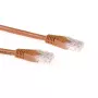 ACT pruun 1-meetrine U/UTP CAT6A patch-kaabel RJ45-pistikutega