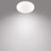 Laelamp Philips Functional Super õhuke 15 W LED, ümmargune, 250 mm, 220–240 V, valge