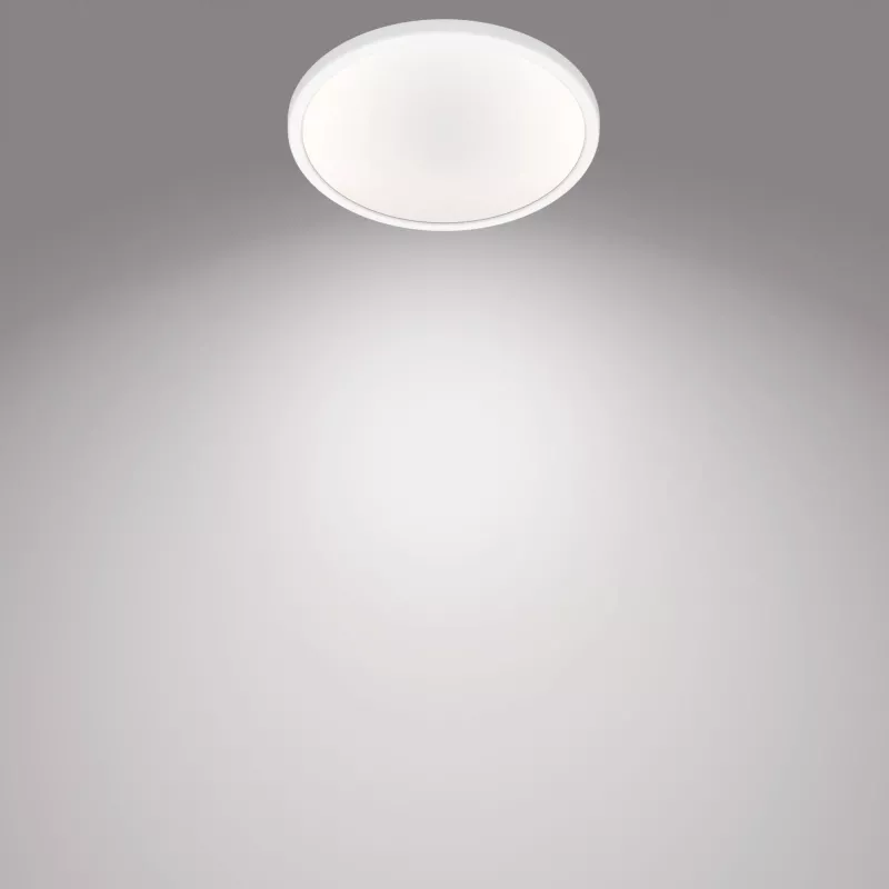 Laelamp Philips Functional Super õhuke 15 W LED, ümmargune, 250 mm, 220–240 V, valge