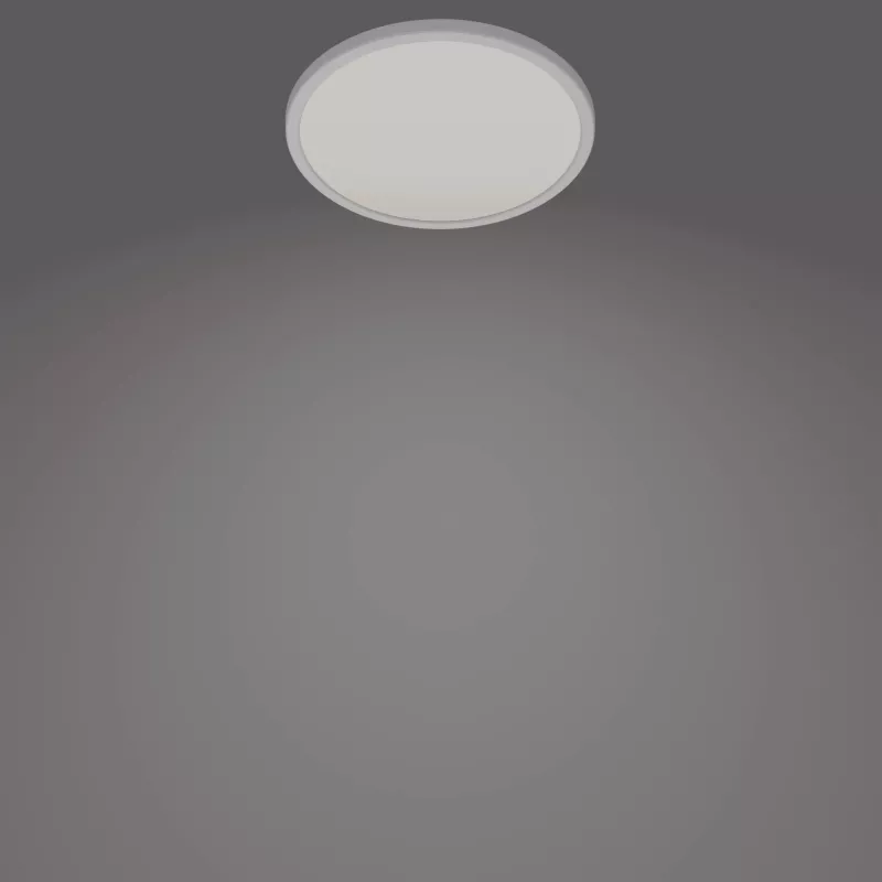Laelamp Philips Functional Super õhuke 15 W LED, ümmargune, 250 mm, 220–240 V, valge