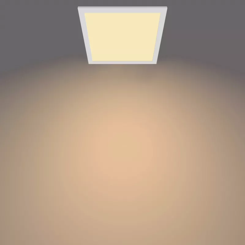 Laelamp Philips Functional Panel 12 W LED kandiline 300×300×42 mm, valge