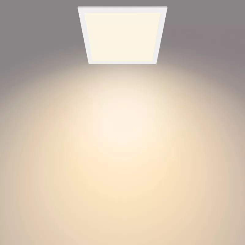 Laelamp Philips Functional Panel 12 W LED kandiline 300×300×42 mm, valge
