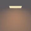 Philips Functional Panel lakke paigaldatav laelamp 36 W, ristkülikukujuline