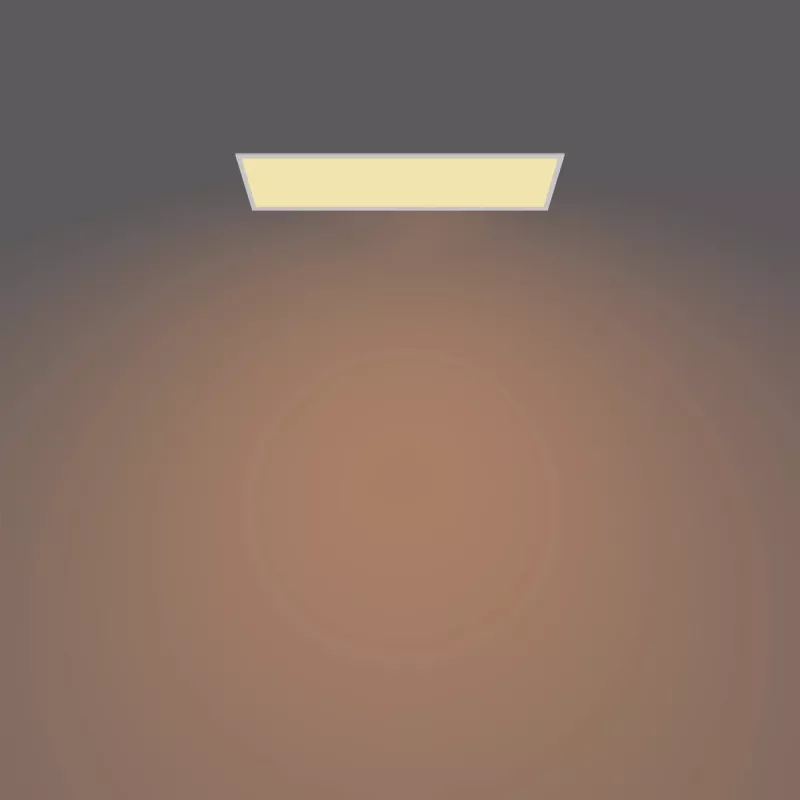 Philips Functional Panel lakke paigaldatav laelamp 36 W, ristkülikukujuline
