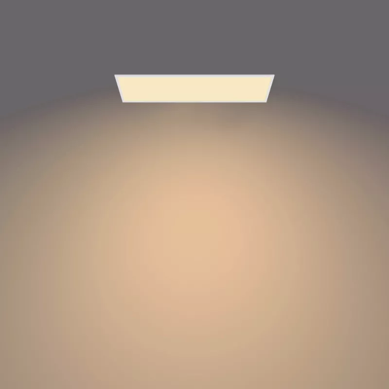 Philips Functional Panel lakke paigaldatav laelamp 36 W, ristkülikukujuline