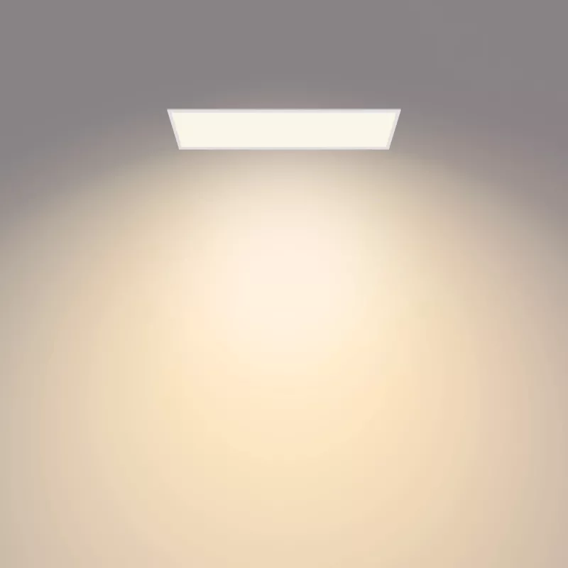 Philips Functional Panel lakke paigaldatav laelamp 36 W, ristkülikukujuline
